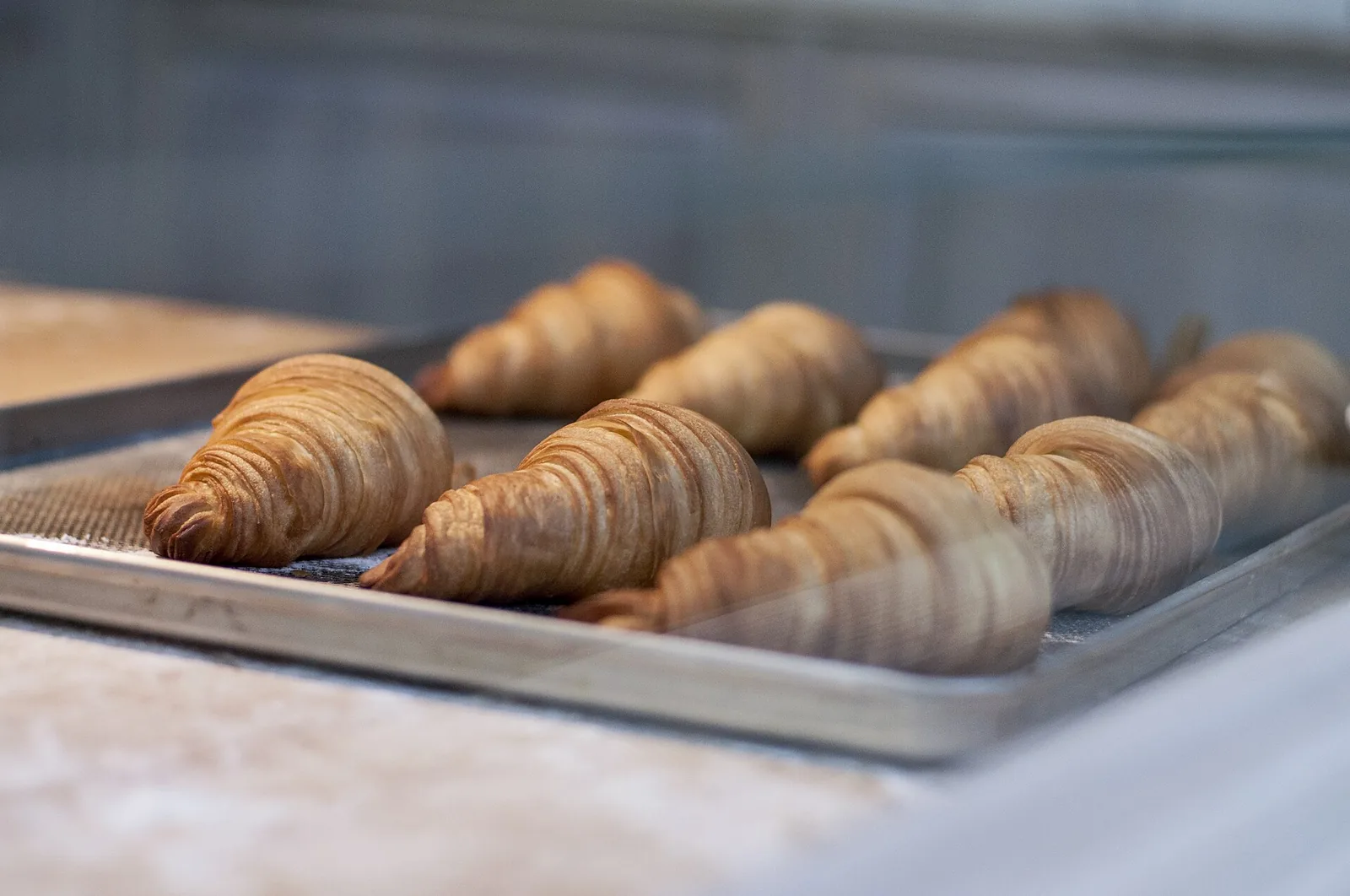 Croissants on a baking tray